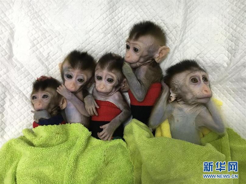 （新華全媒頭條&middot;兩會(huì)前夕看落實(shí)&middot;圖文互動(dòng)）（5）改革風(fēng)帆勁 創(chuàng)新逐浪高&mdash;&mdash;上海落實(shí)習(xí)近平總書記全國兩會(huì)重要講話精神紀(jì)實(shí)