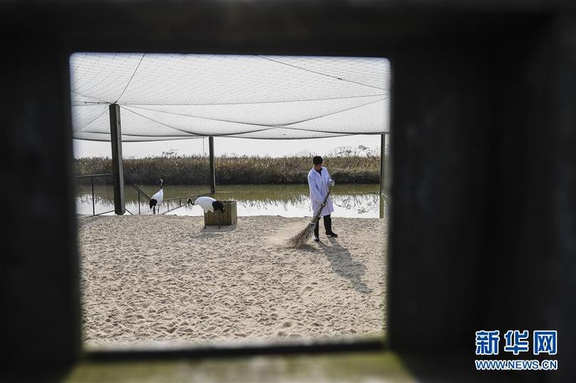 （兩會前夕看落實&middot;圖文互動）（3）綠色發(fā)展引領 守護&ldquo;魚米之鄉(xiāng)&rdquo;&mdash;&mdash;江蘇落實習近平總書記全國兩會重要講話精神紀實