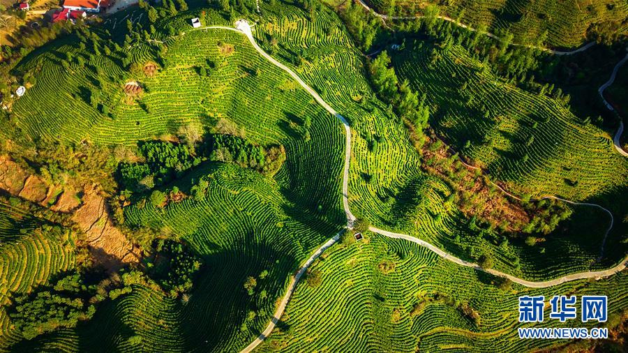 (兩會前夕看落實(shí)·圖文互動(dòng))(5)奮力脫貧攻堅(jiān) 生態(tài)追“清”逐“綠”——江西落實(shí)習(xí)近平總書記全國兩會重要講話精神紀(jì)實(shí)