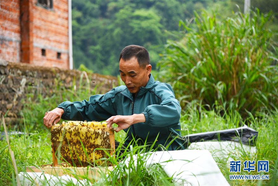 (兩會前夕看落實(shí)·圖文互動(dòng))(7)奮力脫貧攻堅(jiān) 生態(tài)追“清”逐“綠”——江西落實(shí)習(xí)近平總書記全國兩會重要講話精神紀(jì)實(shí)
