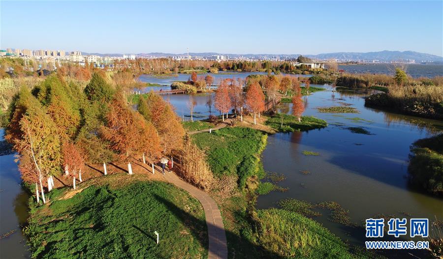 （在習(xí)近平新時(shí)代中國(guó)特色社會(huì)主義思想指引下&mdash;&mdash;新時(shí)代新作為新篇章&middot;圖文互動(dòng)）（5）高原春來早 云嶺開新篇 