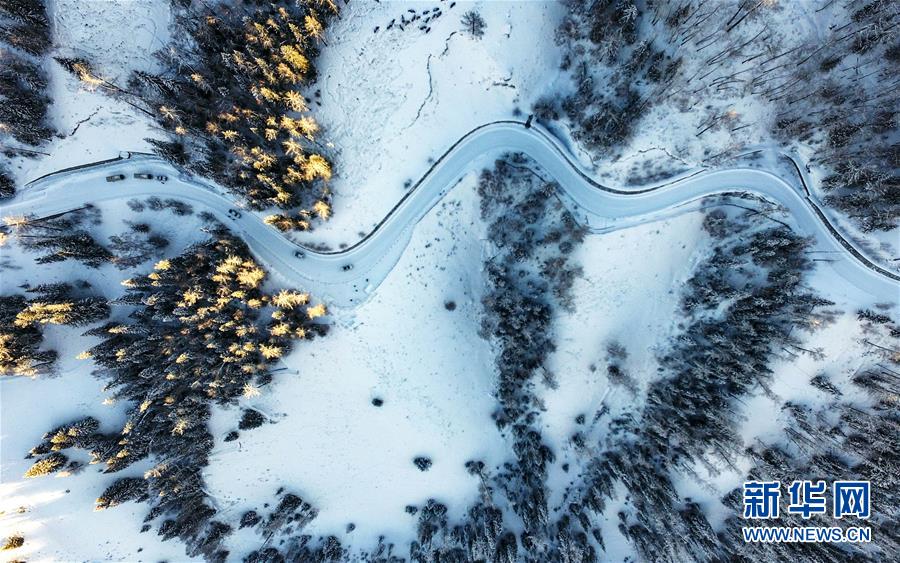 (兩會前夕看落實·圖文互動)(6)牢記囑托增進民族團結(jié) 凝心聚力建設(shè)美麗新疆——新疆落實習(xí)近平總書記全國兩會重要講話精神紀(jì)實