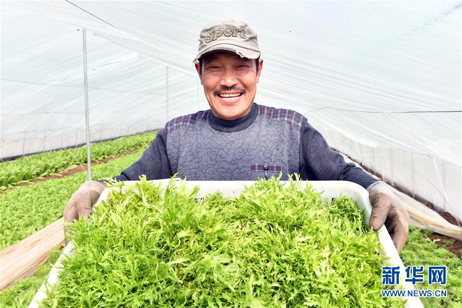 (兩會前夕看落實·圖文互動)(3)融合“三生三美” 打造鄉(xiāng)村振興齊魯樣板——山東落實習(xí)近平總書記全國兩會重要講話精神紀(jì)實