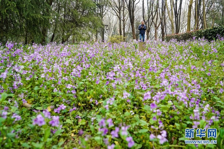 （城市綠道建設(shè)&middot;圖文互動）（3）千里綠道：連綴&ldquo;六朝古都&rdquo;