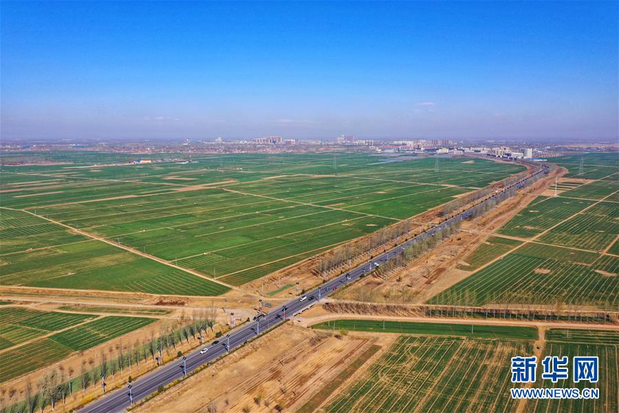（新華全媒頭條&middot;圖文互動）（2）奮進，向著未來之城！&mdash;&mdash;河北雄安新區(qū)建設發(fā)展兩周年紀實