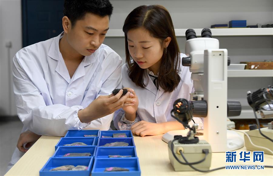 (新華全媒頭條·圖文互動(dòng))(5)探尋5億年前“生命大爆炸”之奧秘——中國科學(xué)家發(fā)現(xiàn)寒武紀(jì)“化石寶庫”清江生物群紀(jì)實(shí)