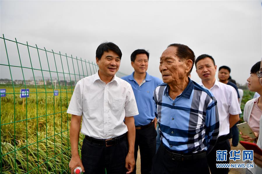 (愛國情 奮斗者·圖文互動)(1)一顆稻谷里的愛國情懷——記“雜交水稻之父”袁隆平