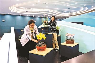 點擊進(jìn)入下一頁