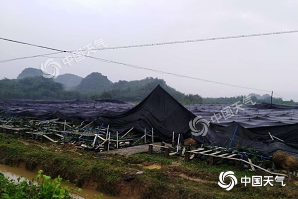 周末雨不休！南北方同迎大范圍降水