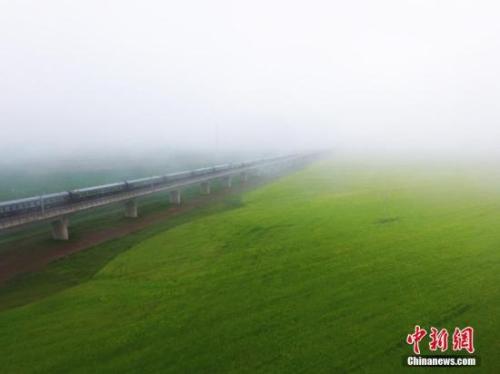 資料圖：動(dòng)車(chē)組穿越雨霧中的油菜花海宛若穿越時(shí)空。 楊艷敏 攝