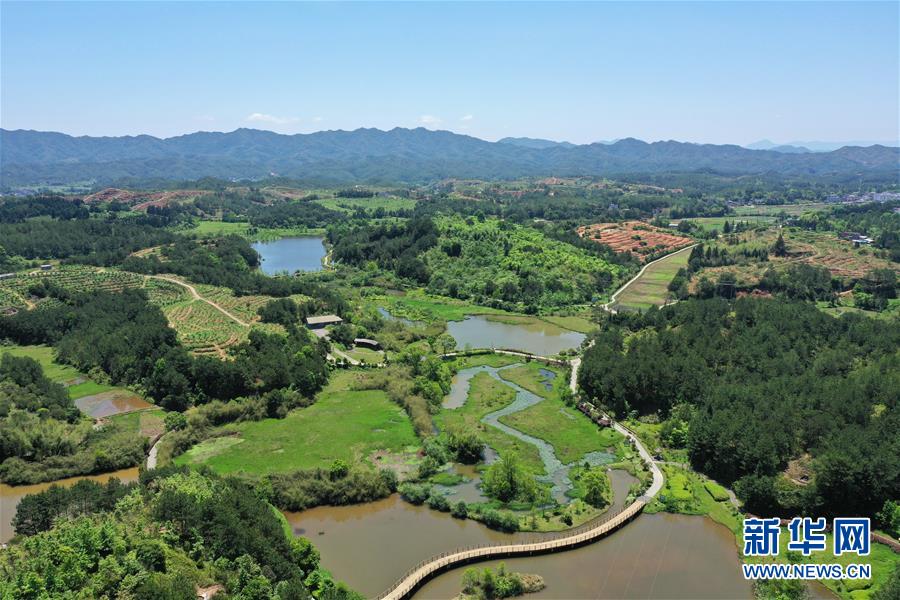(壯麗70年&middot;奮斗新時代&middot;圖文互動）（2）福建長汀：換顏&ldquo;山光水濁&rdquo; 永駐綠水青山