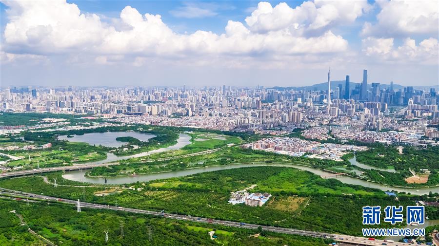 (在習近平新時代中國特色社會主義思想指引下——新時代新作為新篇章·圖文互動)(7)濕地就在城中央——珠三角重塑人與自然和諧共生圖景