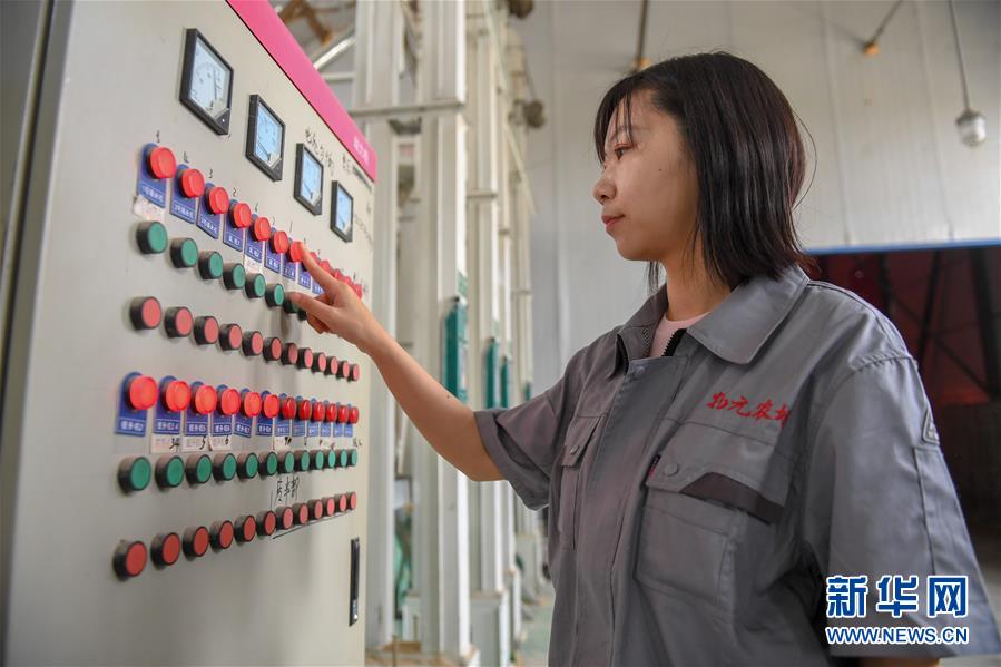 （在習(xí)近平新時(shí)代中國(guó)特色社會(huì)主義思想指引下&mdash;&mdash;新時(shí)代新作為新篇章&middot;圖文互動(dòng)）（5）大學(xué)生種田讓農(nóng)民&ldquo;老把式&rdquo;開了眼&mdash;&mdash;吉林長(zhǎng)白山下的稻田新事