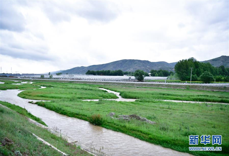 （圖文互動(dòng)）（4）青?；ブ核妥呶鬯瓉?lái)碧波