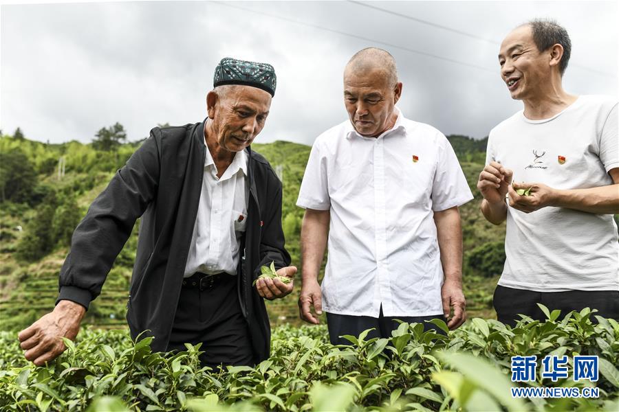 （新華全媒頭條&middot;圖文互動）（7）同心援疆，&ldquo;壯闊&rdquo;祖國西北角