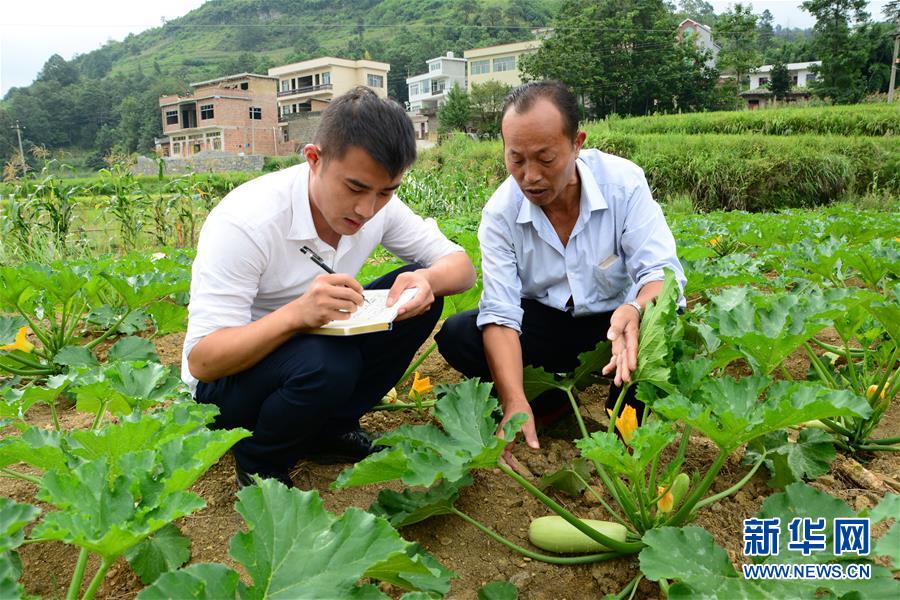 (新華全媒頭條·圖文互動(dòng))(3)咱們村里的年輕人——記奮戰(zhàn)在貴州脫貧攻堅(jiān)一線的青年
