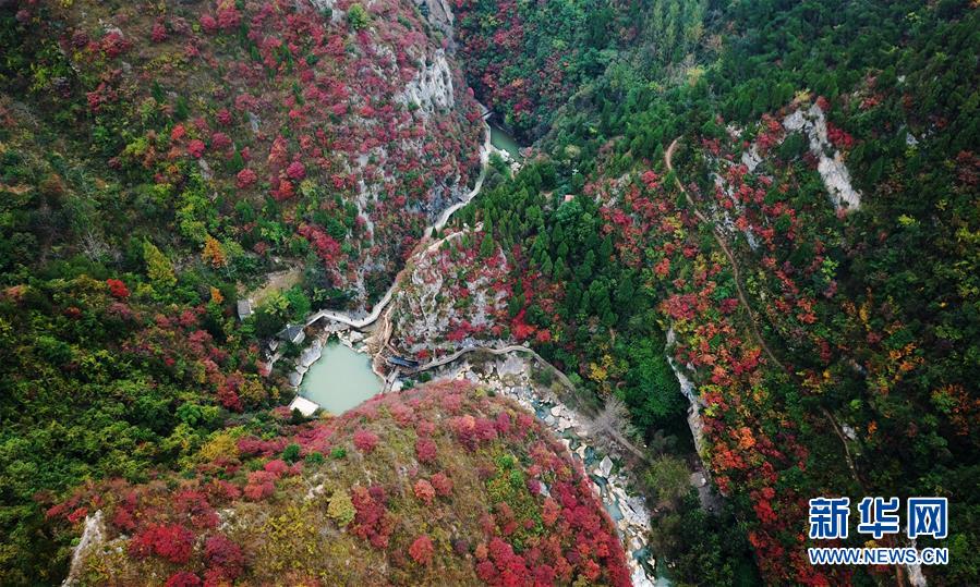 （壯麗70年&middot;奮斗新時代&mdash;&mdash;共和國發(fā)展成就巡禮&middot;圖文互動）（2）以&ldquo;綠色&rdquo;身姿站上發(fā)展前沿&mdash;&mdash;甘肅綠色轉(zhuǎn)型發(fā)展紀實