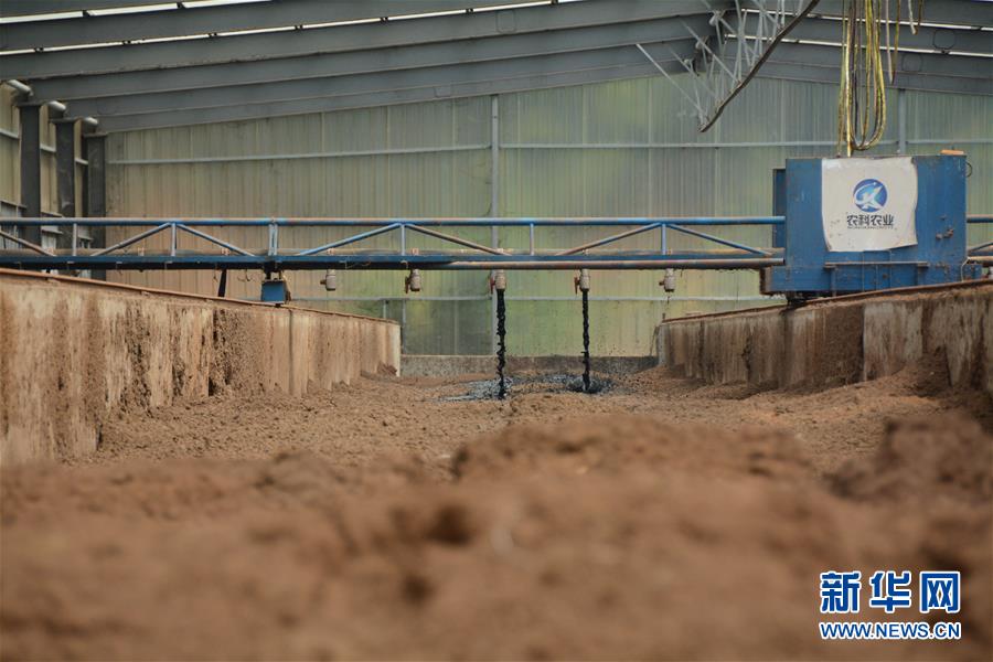 （在習近平新時代中國特色社會主義思想指引下&mdash;&mdash;新時代新作為新篇章&middot;總書記關心的百姓身邊事&middot;圖文互動）（5）大污染變身&ldquo;大寶藏&rdquo;：治理畜禽糞污，他們這樣干！