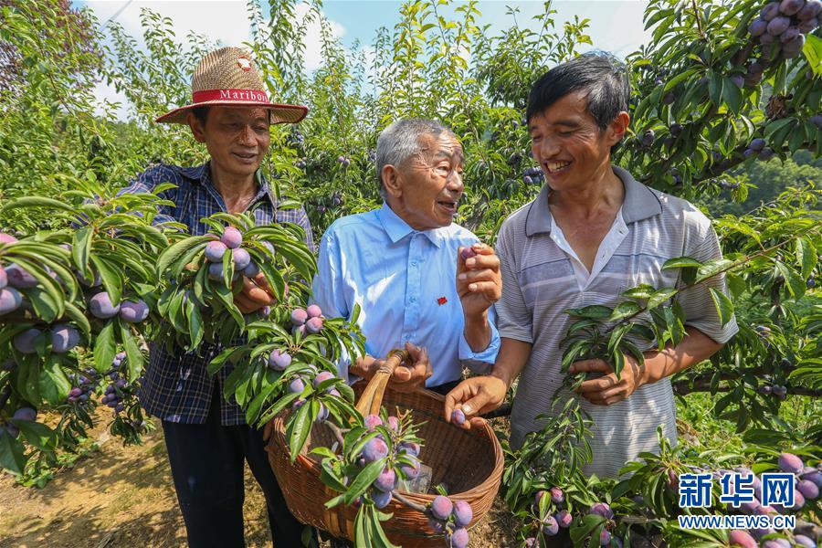 (新華全媒頭條·圖文互動(dòng))(1)凝聚民族復(fù)興的精神偉力——以習(xí)近平同志為核心的黨中央重視思想道德建設(shè)關(guān)心關(guān)愛(ài)道德模范紀(jì)實(shí)