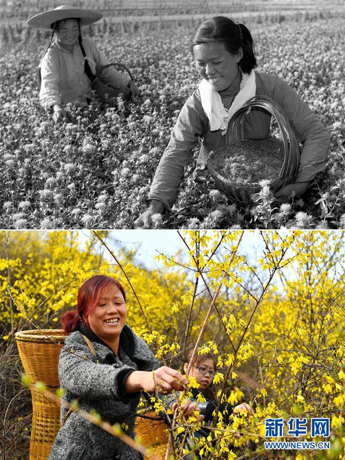 (壯麗70年·奮斗新時(shí)代)(3)70年時(shí)光流影 70行見證發(fā)展