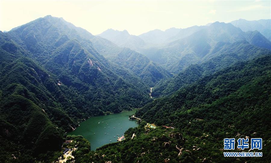 （新華全媒頭條&middot;圖文互動(dòng)）（4）綠色的啟示&mdash;&mdash;西部地區(qū)生態(tài)問題典型個(gè)案再調(diào)查
