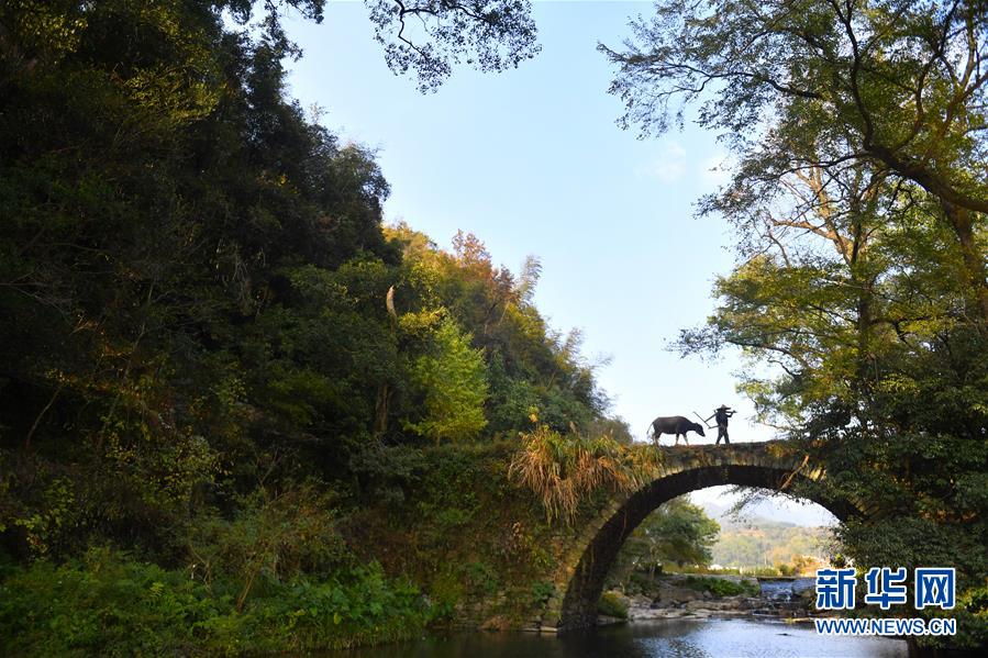 （圖文互動）（3）鄉(xiāng)村攝影師、鄉(xiāng)村&ldquo;模特&rdquo;、民宿店主&mdash;&mdash;鄉(xiāng)村旅游推動婺源農(nóng)民生活方式發(fā)生新變化