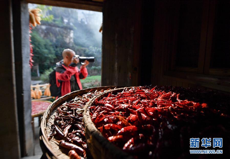 （圖文互動）（6）鄉(xiāng)村攝影師、鄉(xiāng)村&ldquo;模特&rdquo;、民宿店主&mdash;&mdash;鄉(xiāng)村旅游推動婺源農(nóng)民生活方式發(fā)生新變化