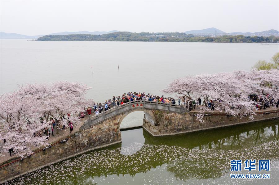 (新華全媒頭條·圖文互動(dòng))(8)大湖見證——長三角三大淡水湖綠色發(fā)展之路