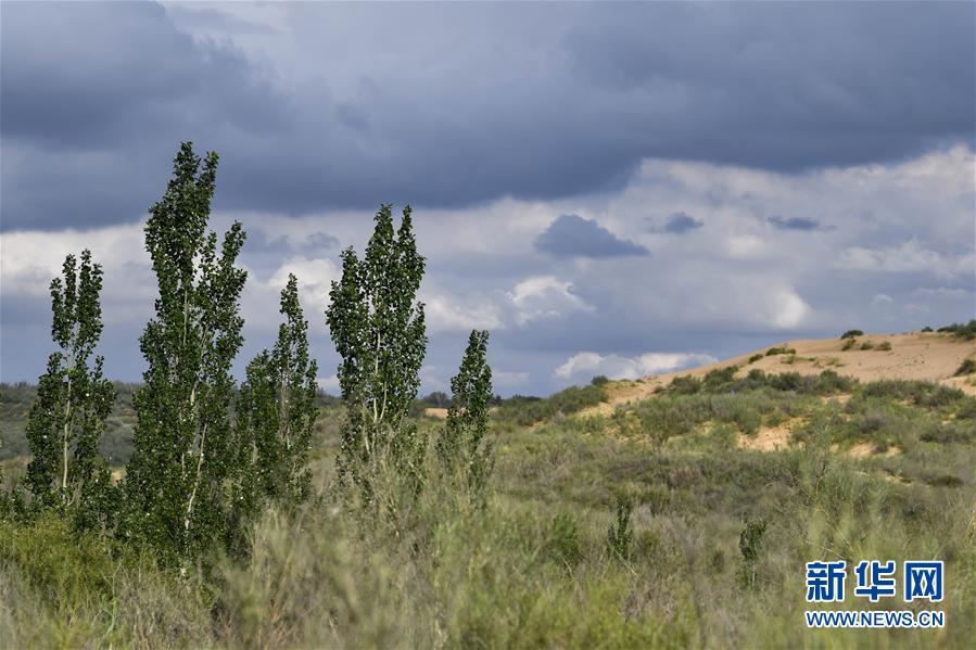 （在習(xí)近平新時(shí)代中國(guó)特色社會(huì)主義思想指引下&mdash;&mdash;新時(shí)代新作為新篇章&middot;總書(shū)記關(guān)切高質(zhì)量發(fā)展&middot;圖文互動(dòng)）（2）從一粒沙看不斷擴(kuò)大的中國(guó)綠色版圖