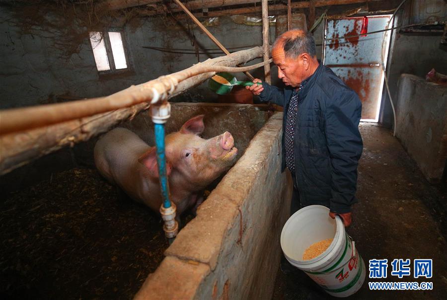 （新春走基層&middot;圖文互動）（2）&ldquo;終于有人敢登門給兒子提親了&rdquo;&mdash;&mdash;張景富脫貧記