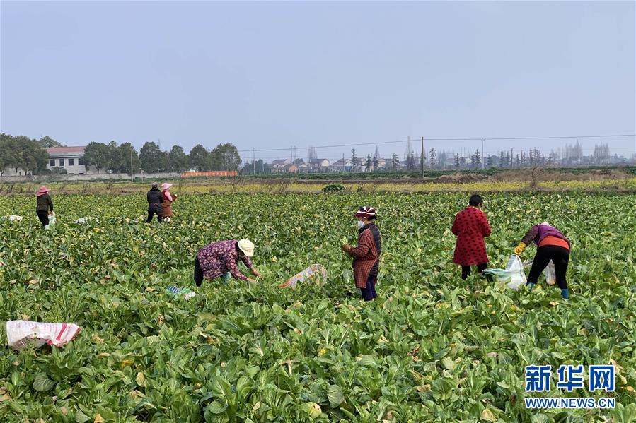 (新華全媒頭條·圖文互動)(4)努力保持生產(chǎn)生活平穩(wěn)有序——抓緊復工復產(chǎn)穩(wěn)定經(jīng)濟運行掃描