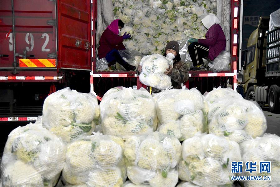 (在習近平新時代中國特色社會主義思想指引下——新時代新作為新篇章·習近平總書記關切事·圖文互動)(5)“菜籃子”里的力量——全國各地努力做好保障和改善民生工作在行動