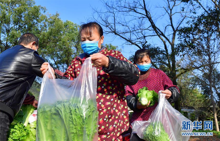 (圖文互動)(6)廣西桂林:“借力+接力”新鮮蔬菜進社區(qū)