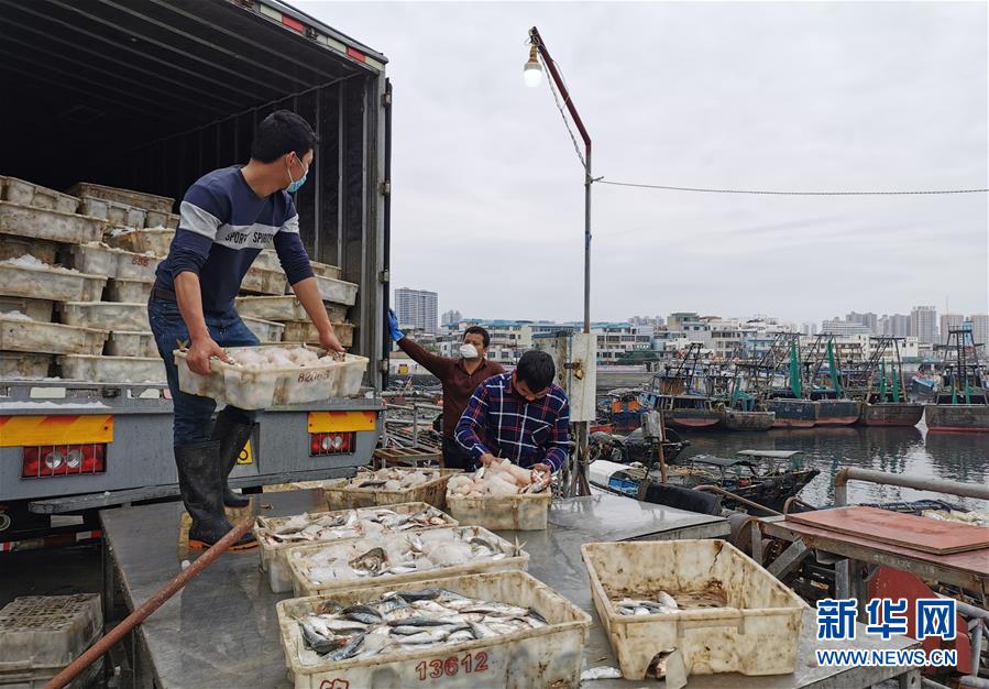 (圖文互動)(5)與疫情抗爭 與春光同行——廣西農(nóng)村春耕備耕一線觀察