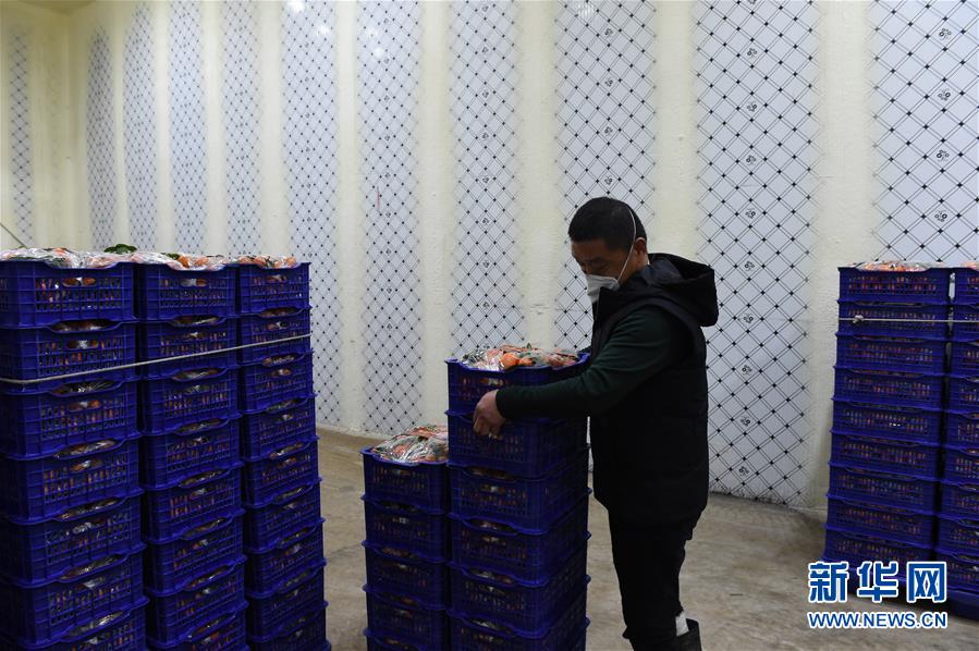 (圖文互動)(7)與疫情抗爭 與春光同行——廣西農(nóng)村春耕備耕一線觀察