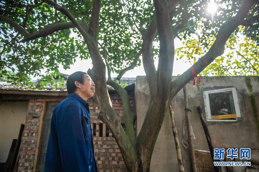 (新華全媒頭條·圖文互動)(7)書寫新的轉(zhuǎn)折——寫在革命老區(qū)遵義全面脫貧之際