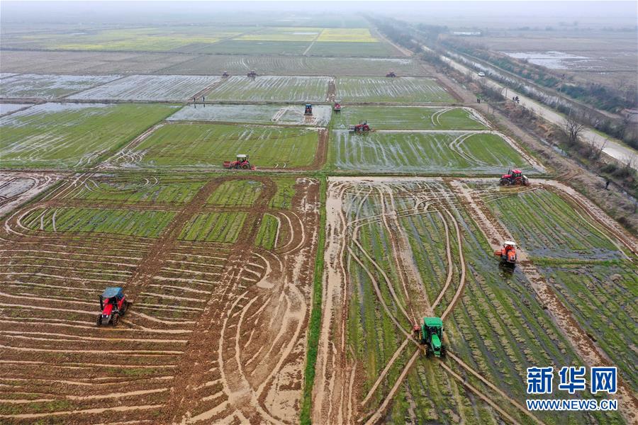 （抓好春耕備耕 穩(wěn)住農(nóng)業(yè)生產(chǎn)&middot;圖文互動(dòng)）（2）智能農(nóng)機(jī)、&ldquo;訂單&rdquo;服務(wù)、&ldquo;云端&rdquo;種菜&mdash;&mdash;來自江西的春耕&ldquo;新事&rdquo;