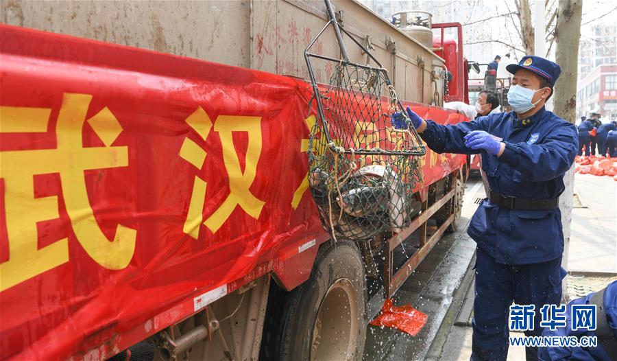 (聚焦疫情防控)(4)咸寧為武漢加“魚(yú)”