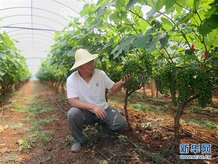 (新華全媒頭條·圖文互動(dòng))(11)春色最濃在田間——來(lái)自全國(guó)春耕備耕的現(xiàn)場(chǎng)觀察