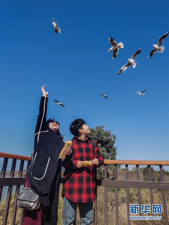 （一線(xiàn)抗疫群英譜&middot;圖文互動(dòng)）（1）大學(xué)生志愿者譚藝西：在武漢，我和媽媽共戰(zhàn)&ldquo;疫&rdquo;