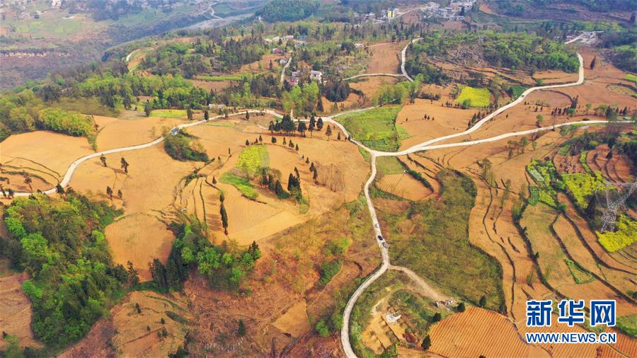 （決戰(zhàn)決勝脫貧攻堅&middot;圖文互動）（2）寄相思，償夙愿&mdash;&mdash;5封清明&ldquo;家書&rdquo;里的決戰(zhàn)決勝信念