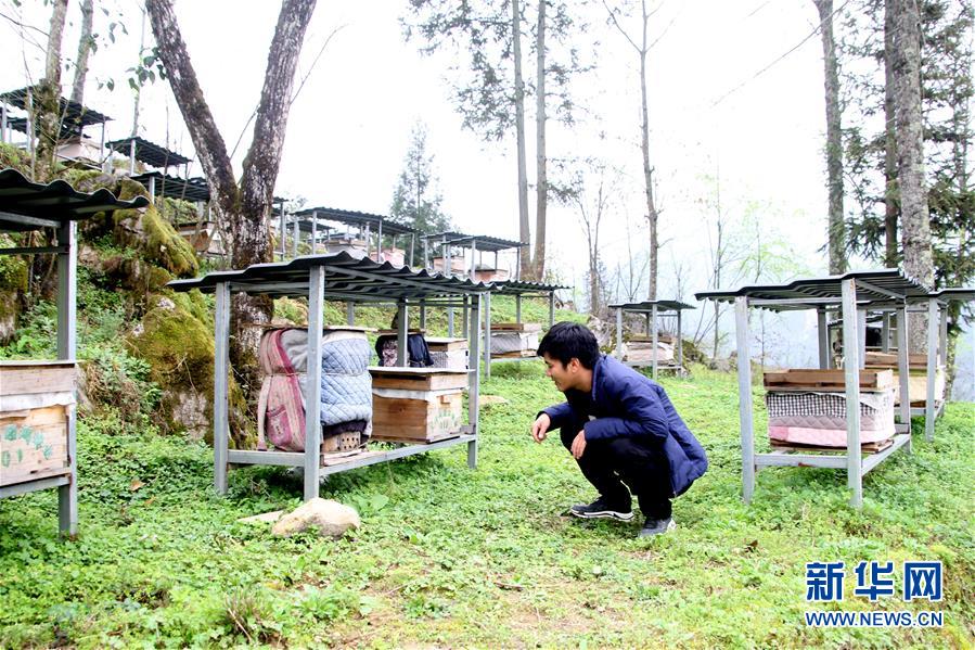 （決戰(zhàn)決勝脫貧攻堅&middot;圖文互動）（3）寄相思，償夙愿&mdash;&mdash;5封清明&ldquo;家書&rdquo;里的決戰(zhàn)決勝信念