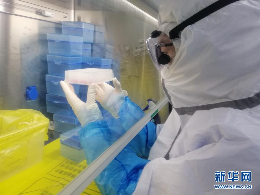 （一線抗疫群英譜&middot;圖文互動）（2）&ldquo;95后&rdquo;大學(xué)生郝鶯歌：退掉車票，她選擇直面病毒