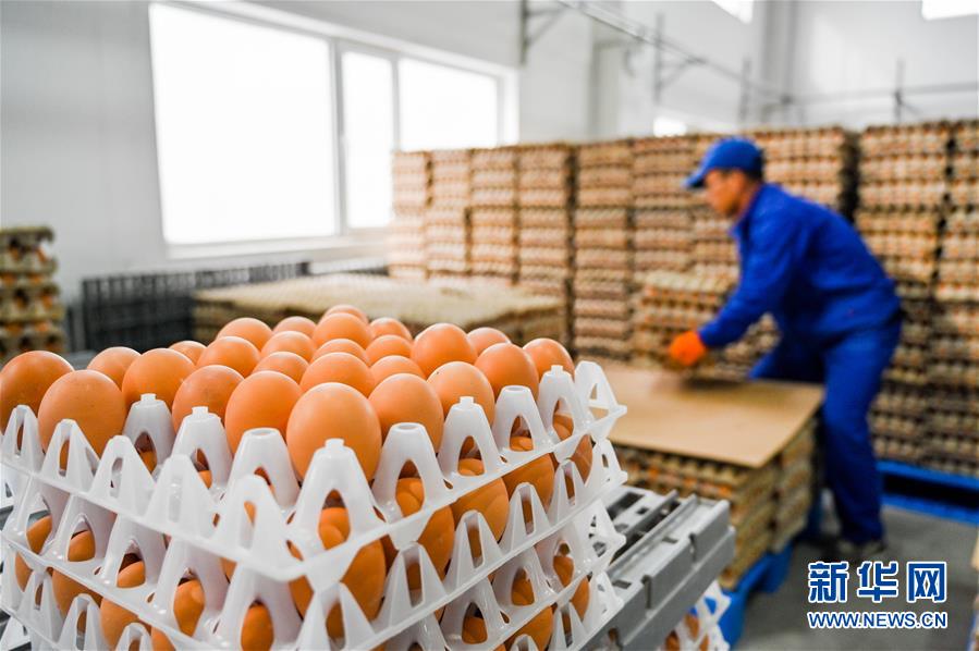 （新華全媒頭條&middot;圖文互動(dòng)）（9）內(nèi)蒙古貧困旗縣全部&ldquo;摘帽&rdquo;