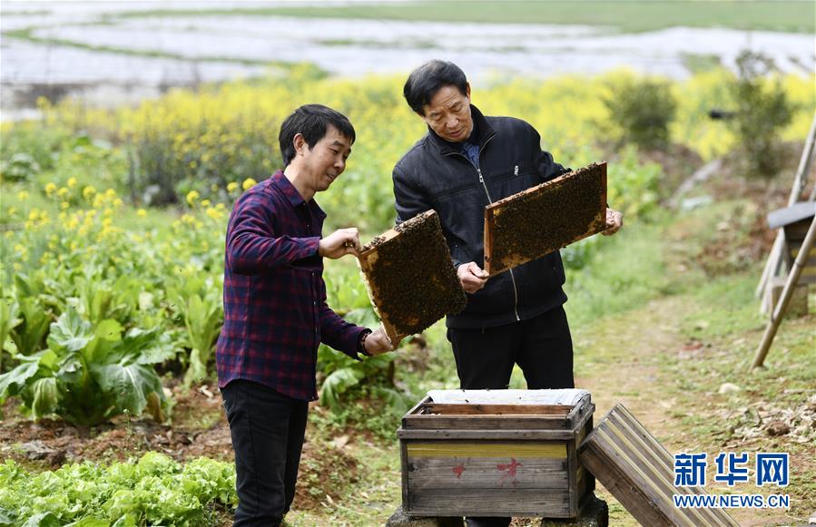 (決戰(zhàn)決勝脫貧攻堅·圖文互動)(2)一位農(nóng)民的產(chǎn)業(yè)扶貧成績單
