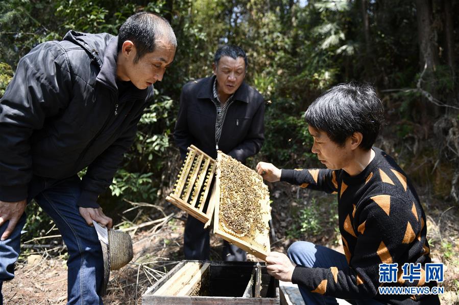 (決戰(zhàn)決勝脫貧攻堅·圖文互動)(5)一位農(nóng)民的產(chǎn)業(yè)扶貧成績單