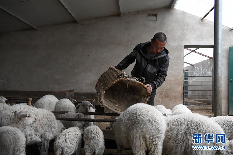 (新華全媒頭條·圖文互動(dòng))(1)春天里的5個(gè)“戰(zhàn)貧”瞬間——習(xí)近平總書記關(guān)于脫貧攻堅(jiān)決策部署指引攻克最后的深貧堡壘