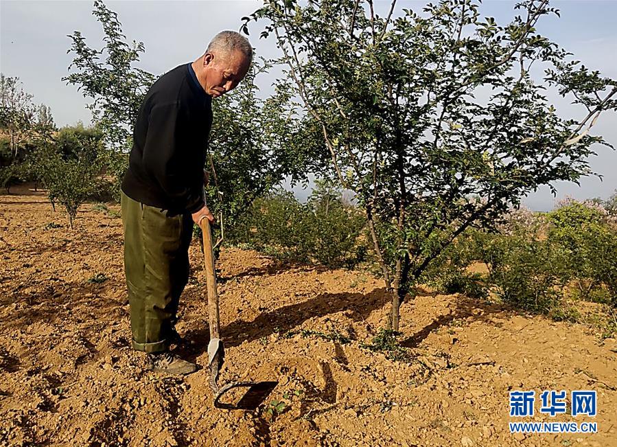 (新華全媒頭條·圖文互動(dòng))(4)春天里的5個(gè)“戰(zhàn)貧”瞬間——習(xí)近平總書記關(guān)于脫貧攻堅(jiān)決策部署指引攻克最后的深貧堡壘