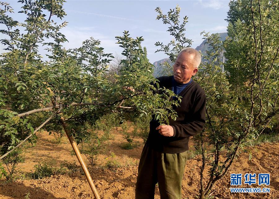 (新華全媒頭條·圖文互動(dòng))(5)春天里的5個(gè)“戰(zhàn)貧”瞬間——習(xí)近平總書記關(guān)于脫貧攻堅(jiān)決策部署指引攻克最后的深貧堡壘