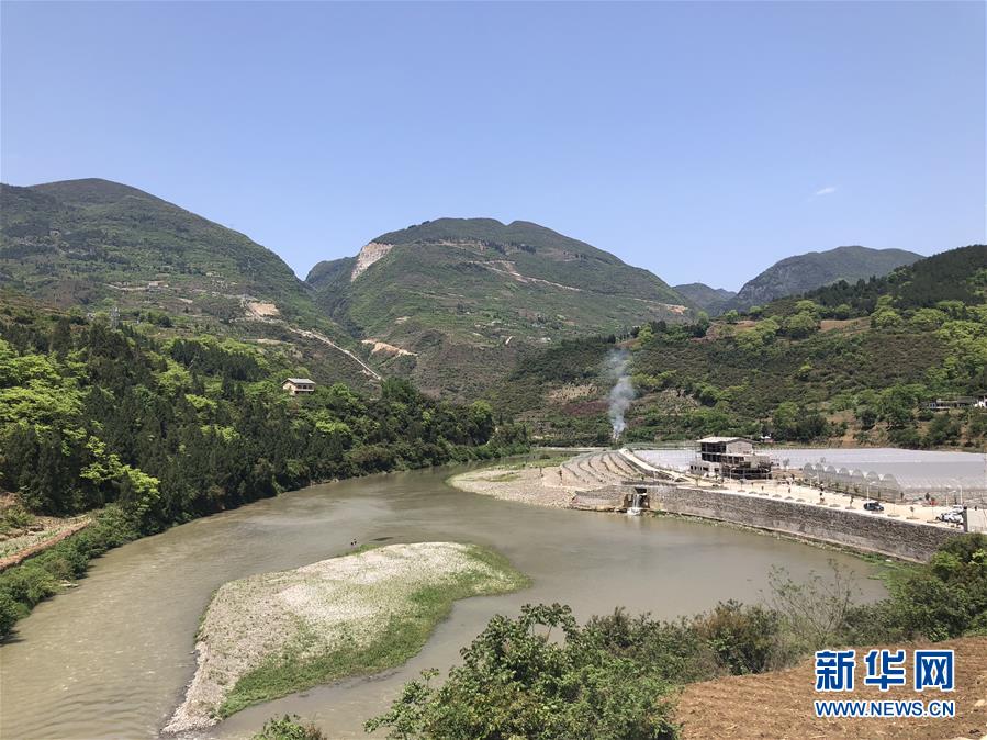 (決戰(zhàn)決勝脫貧攻堅(jiān)·圖文互動(dòng))(1)野奶角又見春天